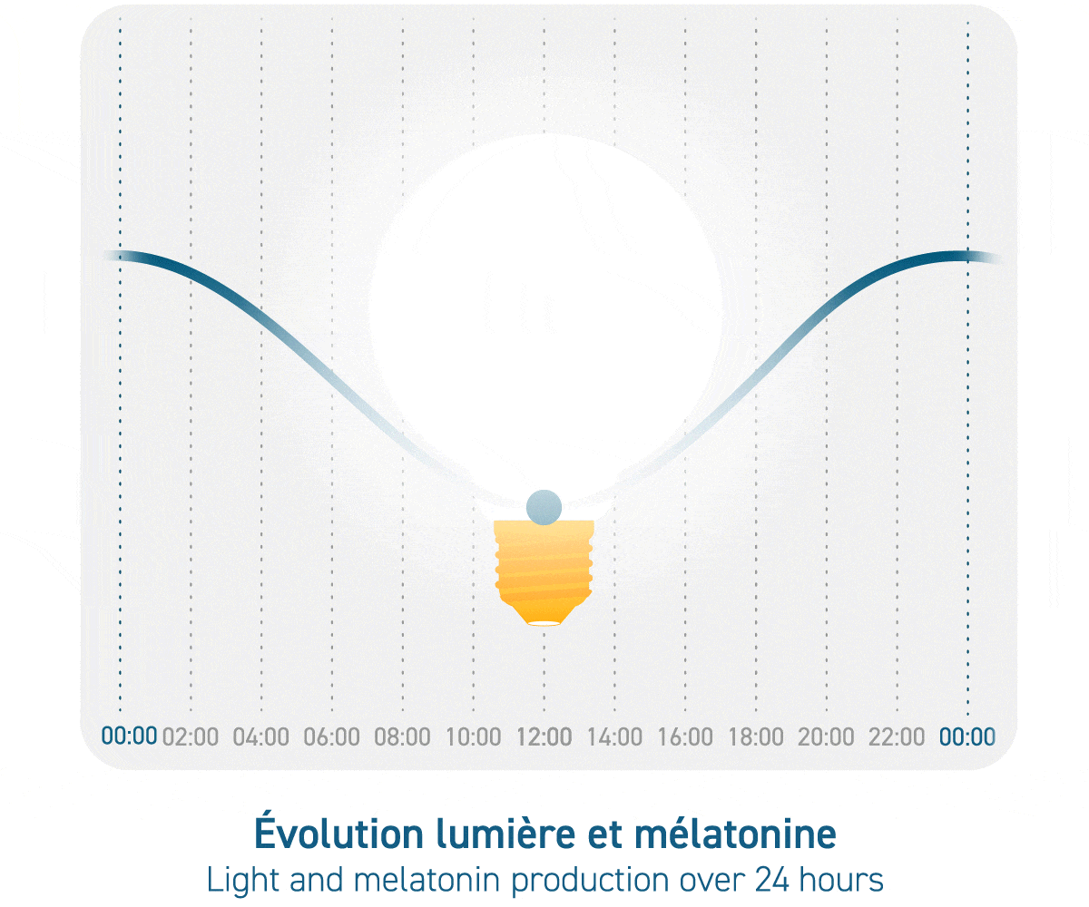 Ampoule Circadienne