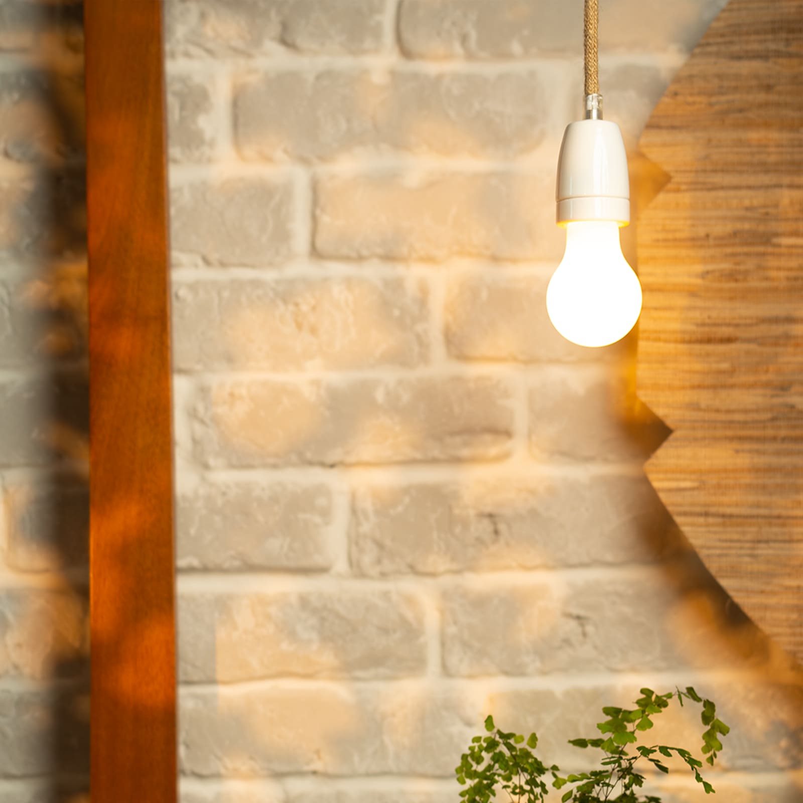 Laqi • Ampoules Circadiennes