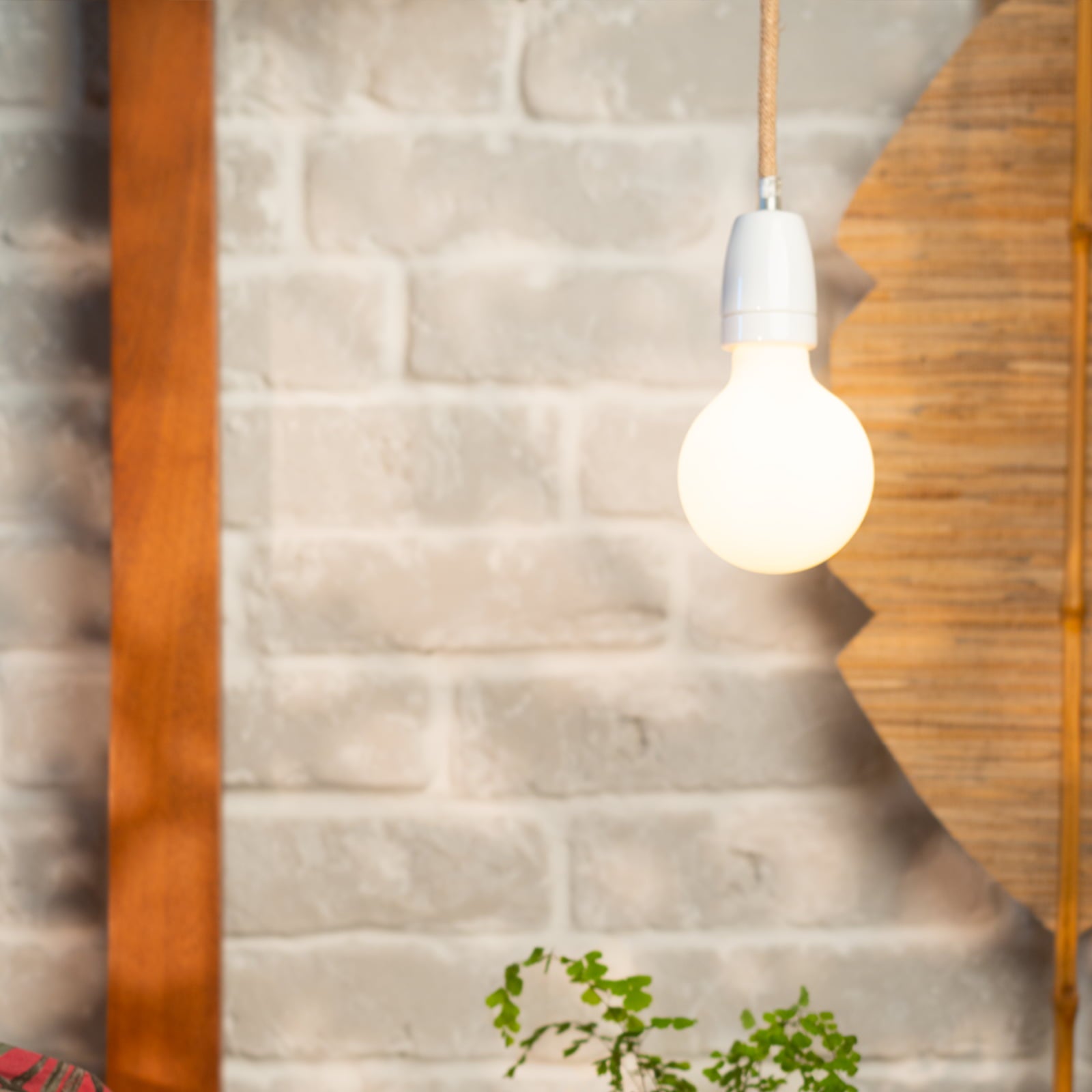 Starter KIT - Laqi Circadian