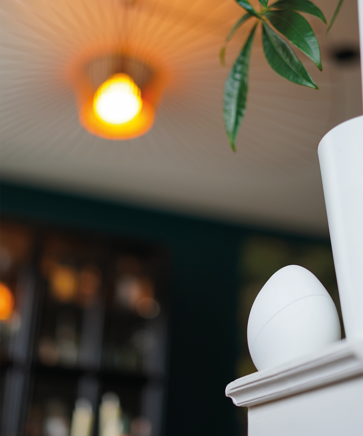 Starter KIT - Laqi Circadian