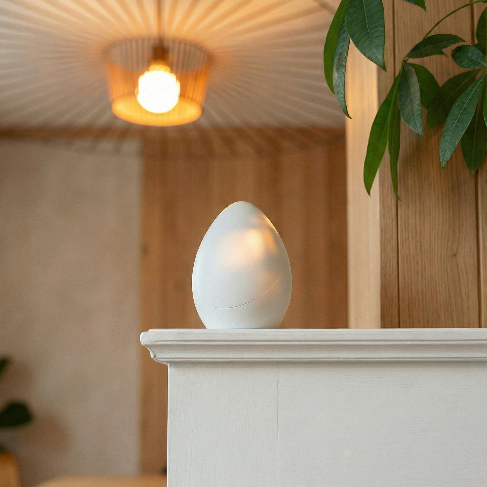 The Egg - Simulateur d'aube & Passerelle de contrôle